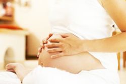 tkivo maternice med nosečnostjo