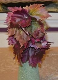 листа на есента topiary 13