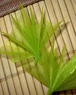 organza fúze pro topiary8