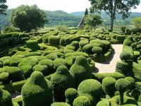 Topiary zahrady - úžasné tvary1