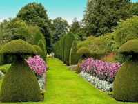 Topiary zahrady - úžasné tvary2