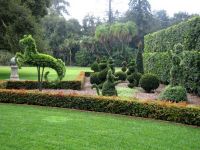 Топиарни градини - невероятни форми3