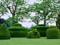 Topiary zahrady - úžasné tvary4
