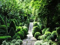 Topiary zahrady - úžasné tvary5