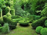 Topiarski vrtovi - neverjetni obliki6