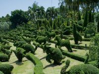 Топиарни градини - невероятни форми9