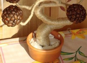 kávová zrna topiary 14