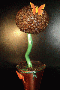 Káva Topiary14
