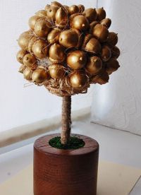 acorn topiary4