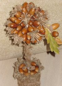 acorn topiary5