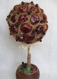 Chestnut Topiary1
