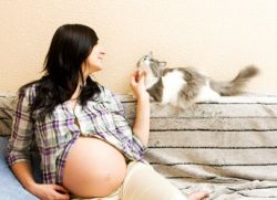 токсоплазмоза по време на бременността, отколкото опасна