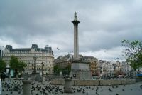 Trg Trafalgar v Londonu3