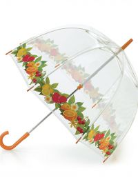 прозрачен чадър 6