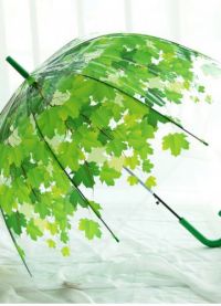 прозрачен чадър 8