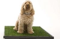 табла за кучета с трева2