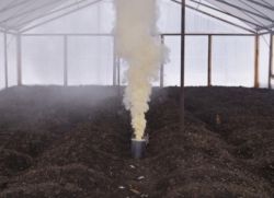 pěstování ve skleníku na jaře