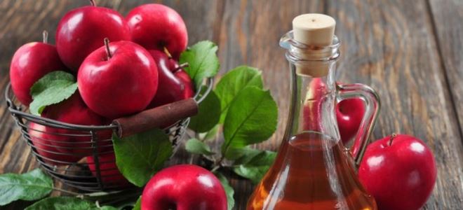 Лечение на варикозен ябълков оцет