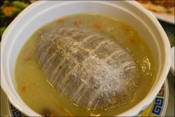 Polévka z želv