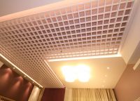 Vrste stropov v apartmaju19