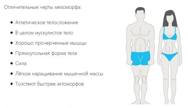 мезоморфен тип тяло