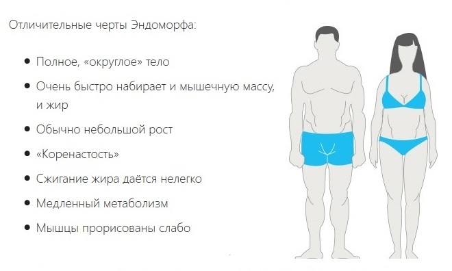 ендоморфни тип тела