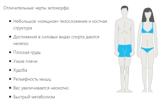 ектоморфен тип тяло