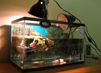 UV лампа за аквариум2
