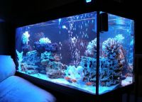UV žarnica za akvarij5