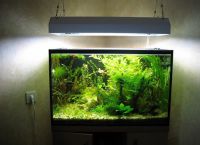 UV лампа за аквариум7