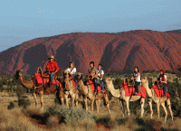 Экскурсия на верблюдах