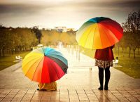 rainbow rabbit umbrella7