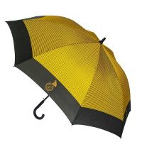 Deštníková třtina 4