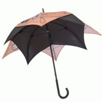 Deštníková třtina 6
