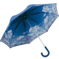 Deštníková třtina 9