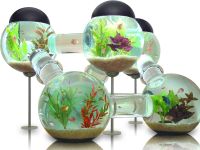 9. Неуобичајени акваријуми