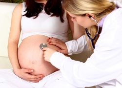 ureaplasma během těhotenství
