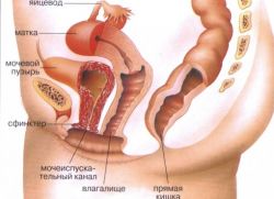 uretritis kod žena