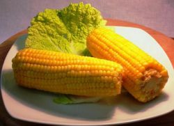 užitečnost vařené kukuřice