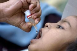 cepljenje proti poli