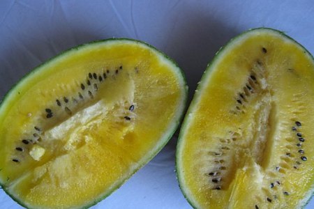 odrůdy vodních melounů 8