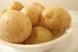Raznolikost krompirjevega gala