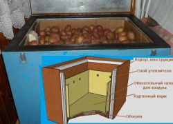škatla za shranjevanje krompirja