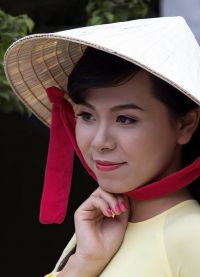 Vietnamský klobouk 8
