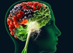 kompleks vitaminov za izboljšanje spomina