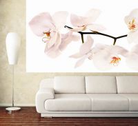 Orchidea na ścianach8