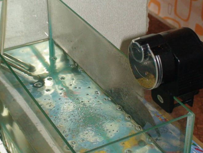 Как отстаивать воду для аквариума