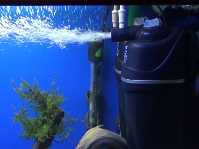 Очистка воды в аквариуме