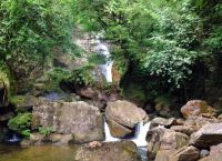 Удивительная природа около Bermejo Waterfalls