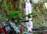 Один из красивейших водопадов Панамы в Bajo Mono Camping Site
